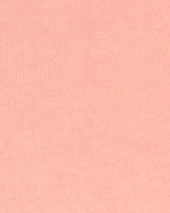 GOLD ELITE Crewneck Sweater | Burnt Coral