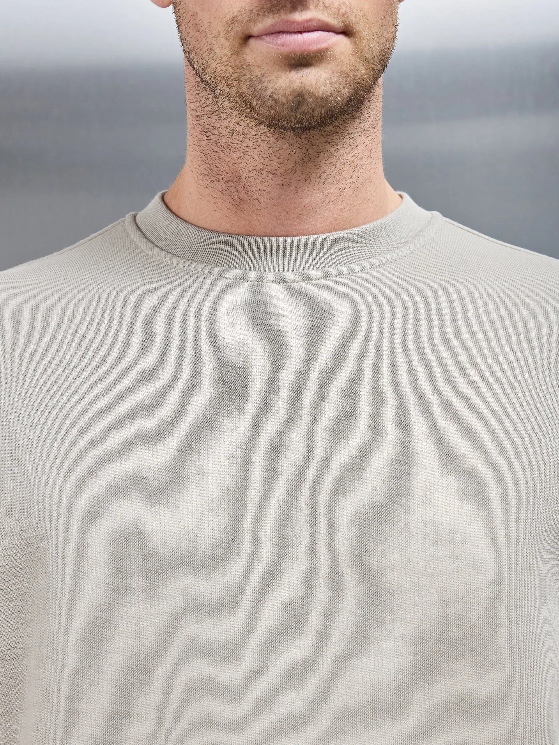 Relaxed Fit Sweatshirt in Stone